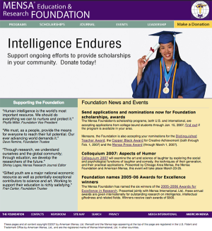 Foundation website, ~2006